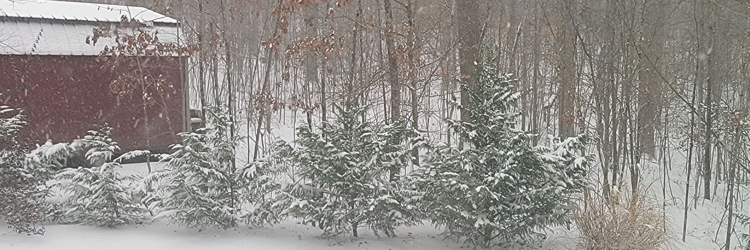 David Mathews banner