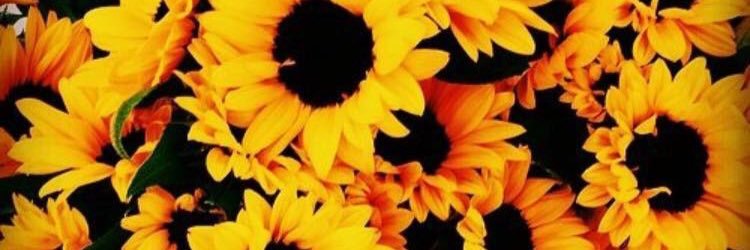 EsaDeRisos's profile banner image