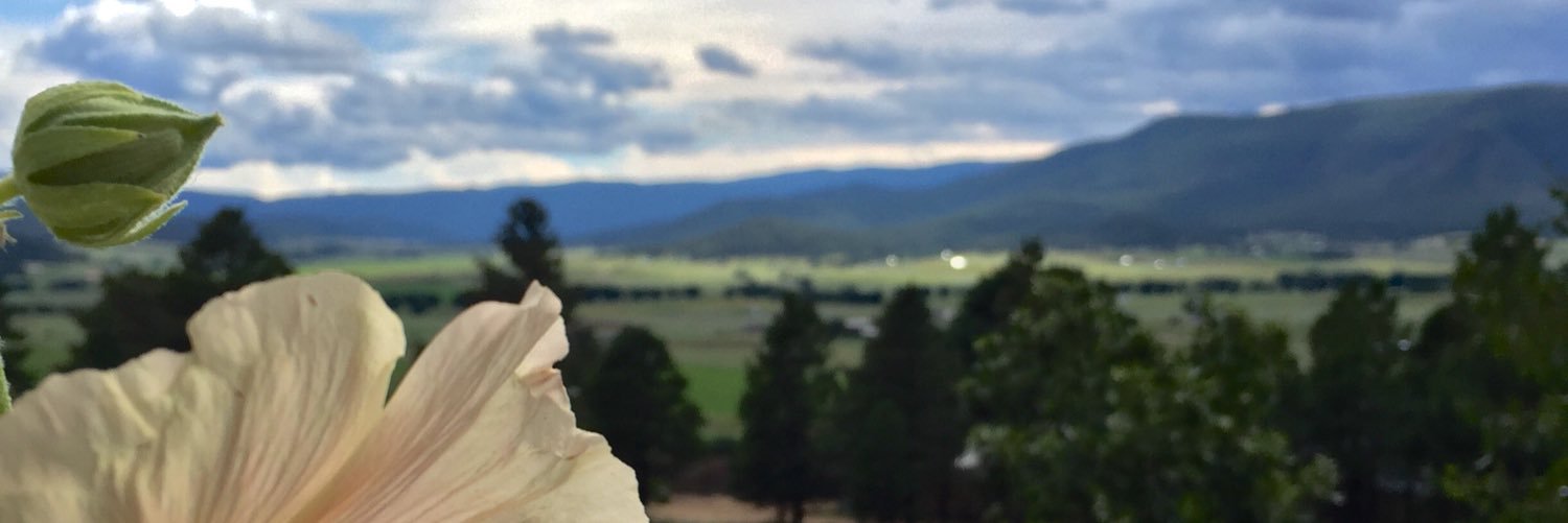 LexusAmor's profile banner image
