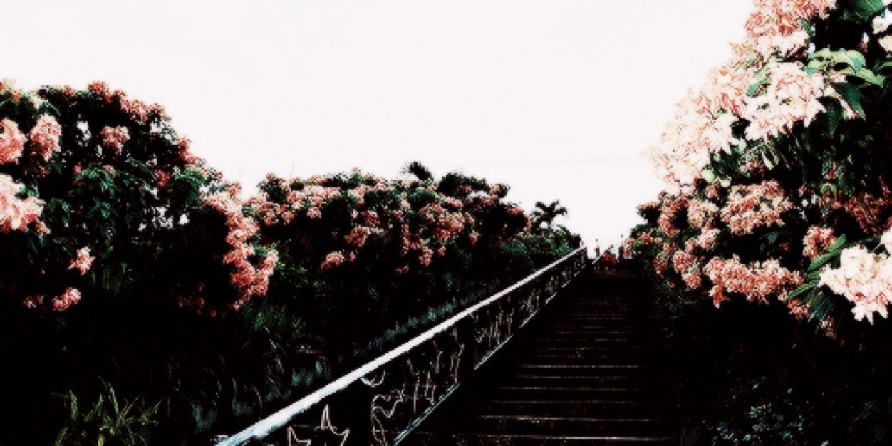 SwitchdePalvin's profile banner image