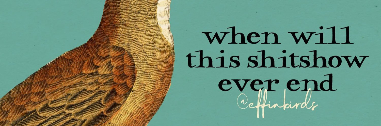 Erin Findsen banner