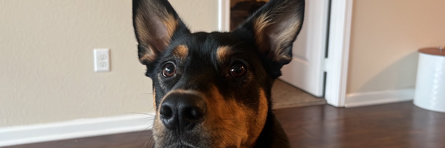 BergstenRob's profile banner image