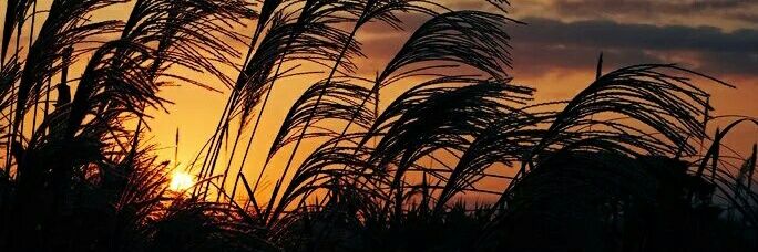 xstra71's profile banner image
