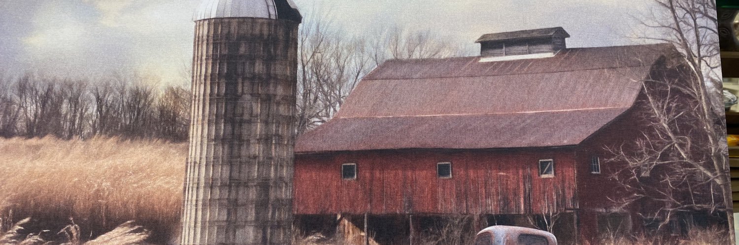 linmy135's profile banner image