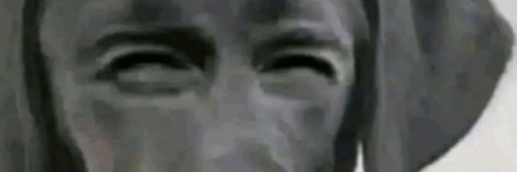 UGoofyGoob's profile banner image