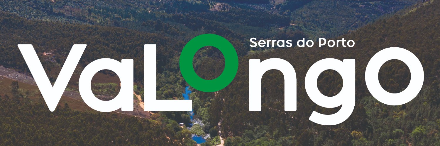 Município de Valongo banner