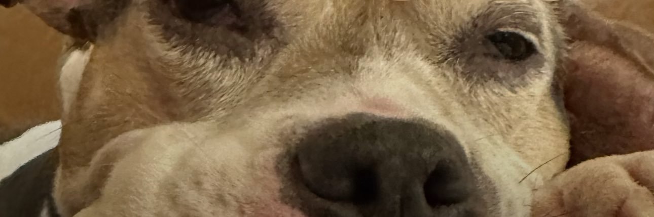 travilito's profile banner image
