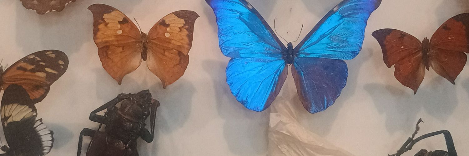 eeeeedai's profile banner image