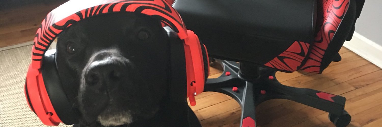 WinterDober's profile banner image