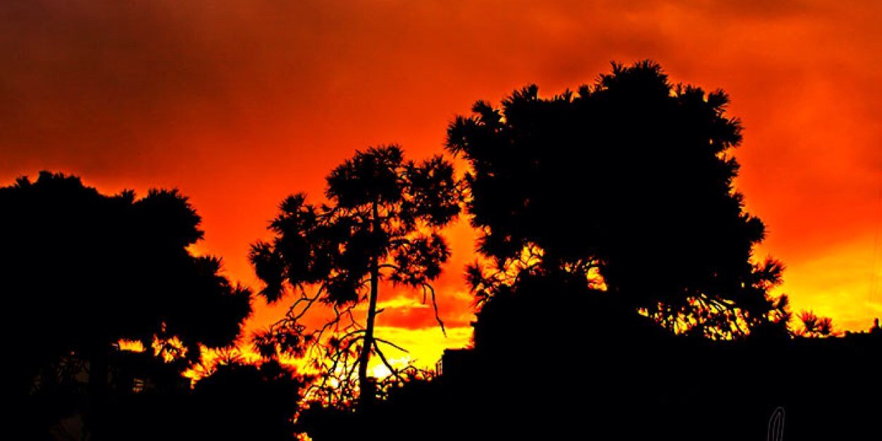 nj_kn's profile banner image