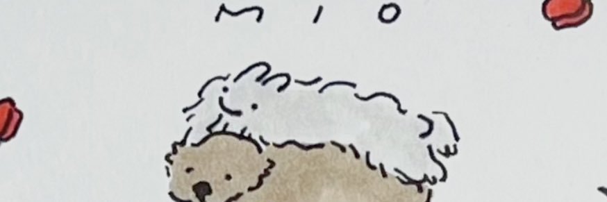 333mio333's profile banner image