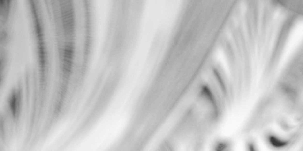 1214Seattle's profile banner image