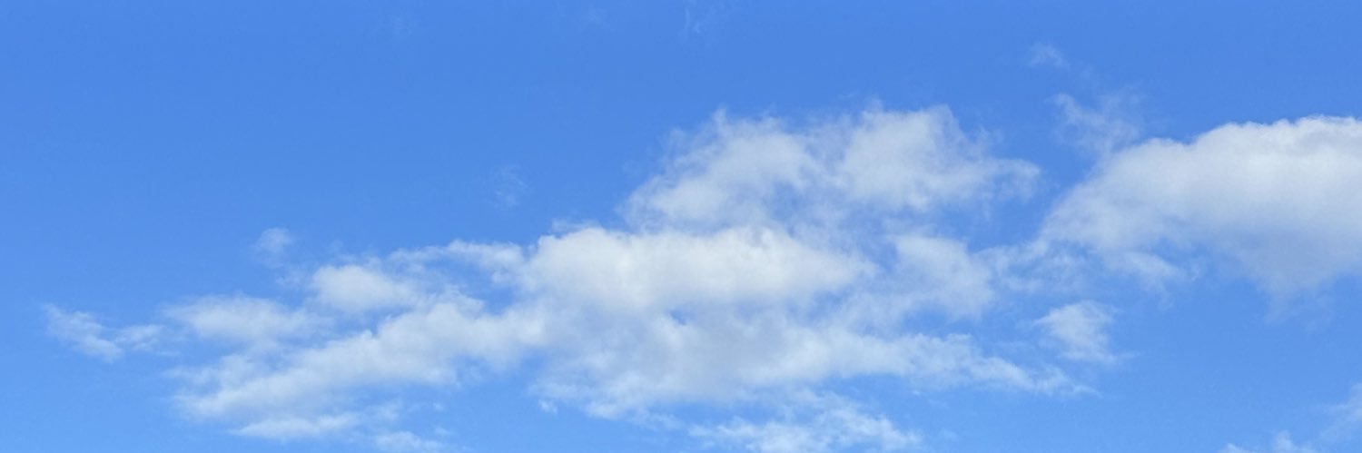 KingRearu's profile banner image