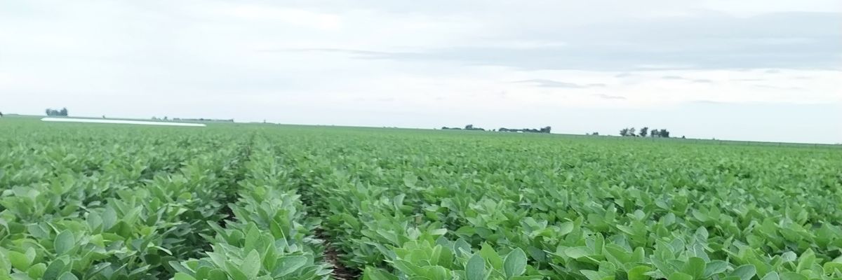 fbcannavo's profile banner image