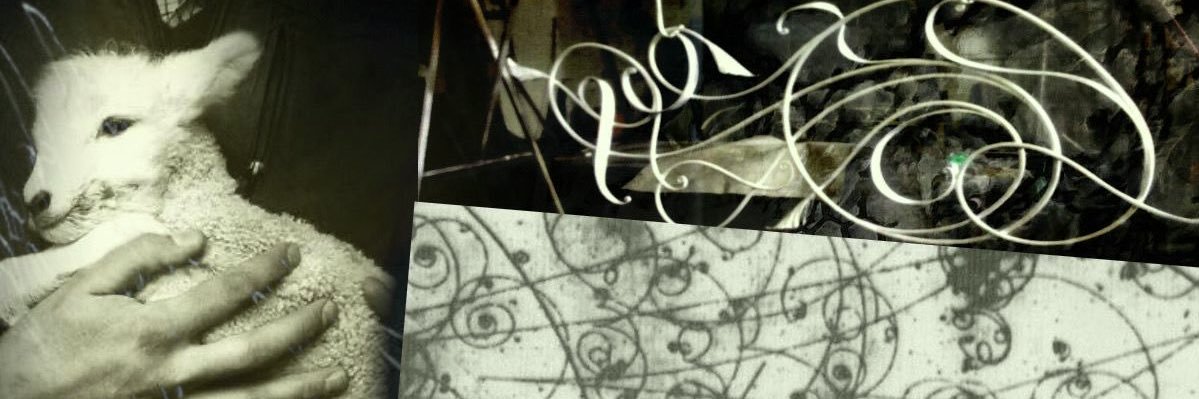 ✙ banner