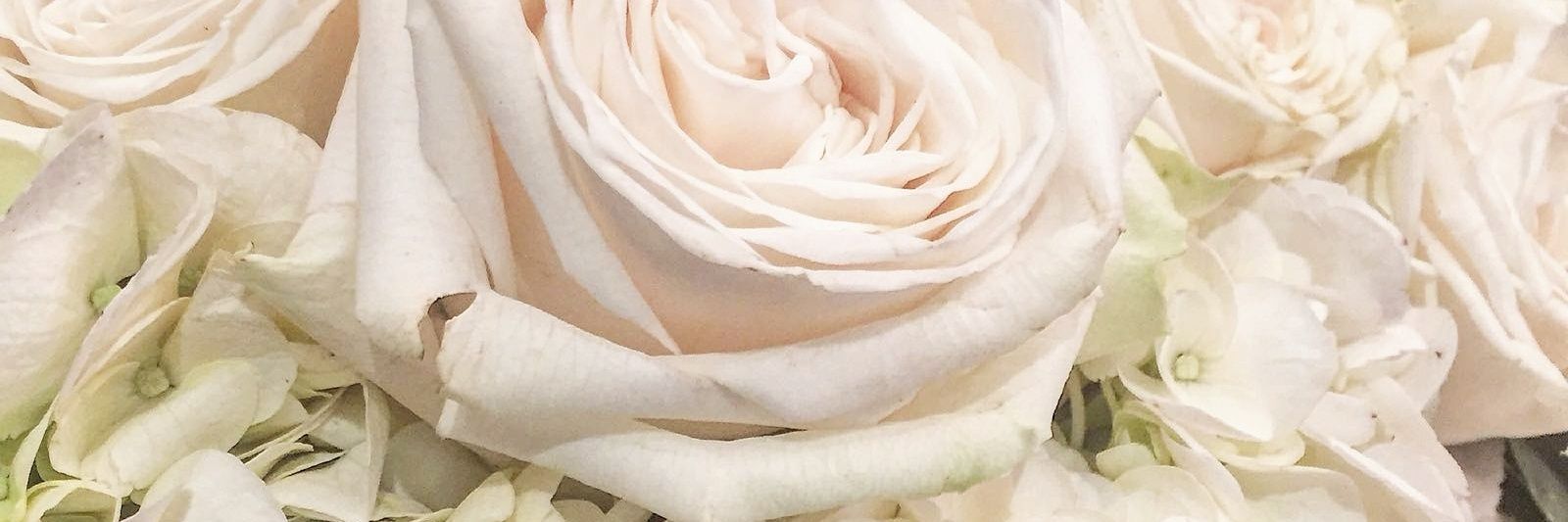 honeypotblogs's profile banner image