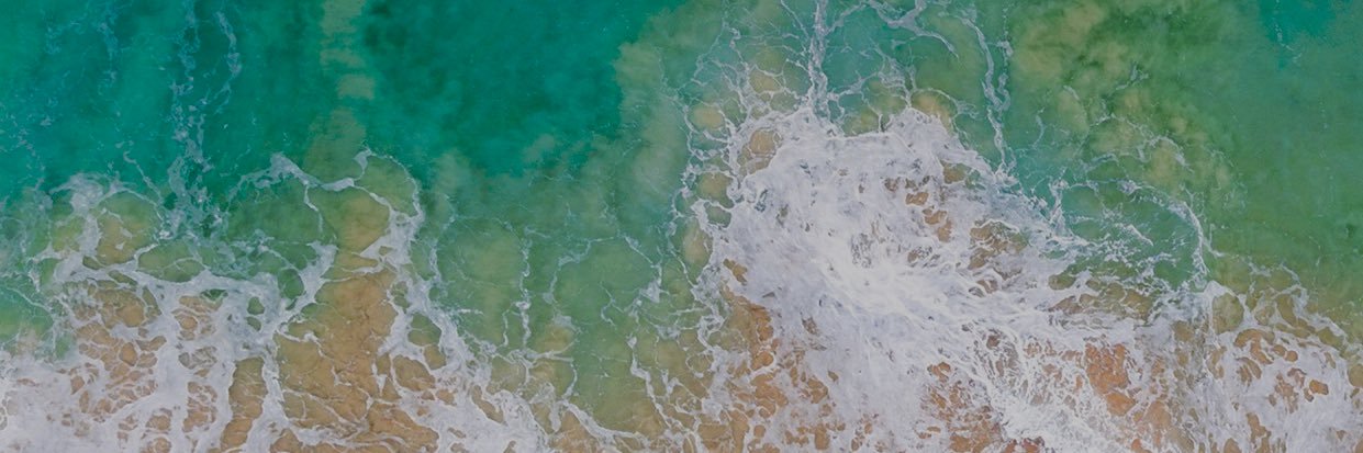 monsterkingdoms's profile banner image
