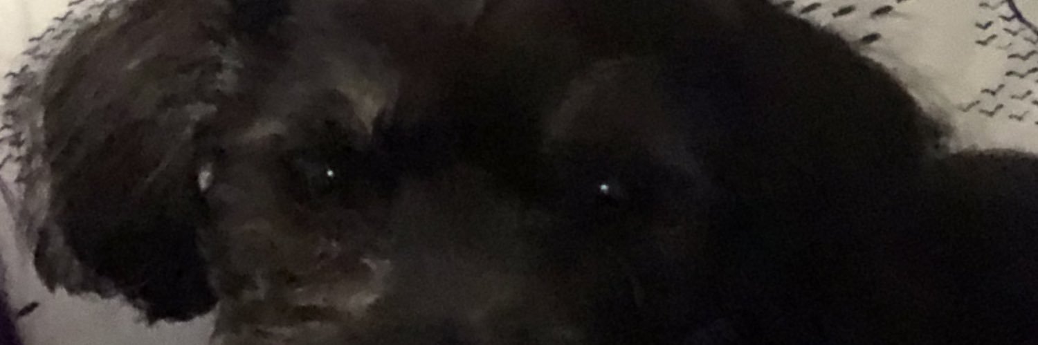FLAWEDCODES's profile banner image