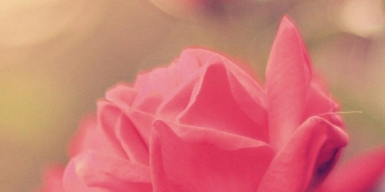 amysanders29's profile banner image