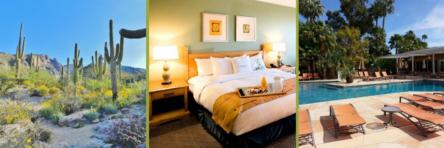 DoubleTreeTUC's profile banner image