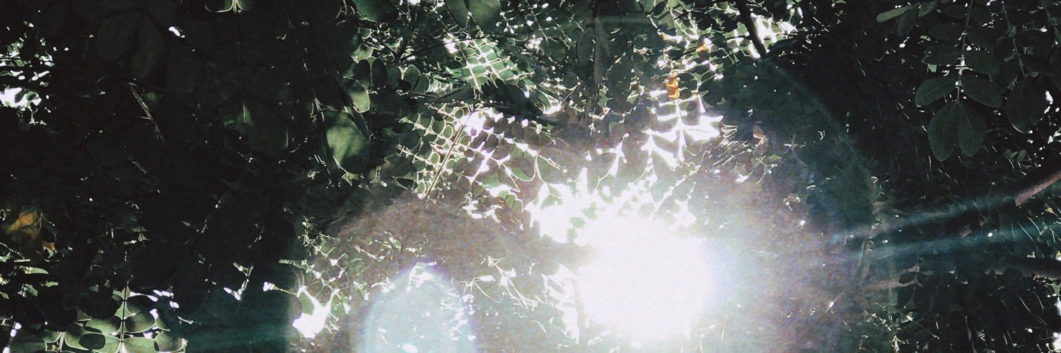 Shinyi2704's profile banner image
