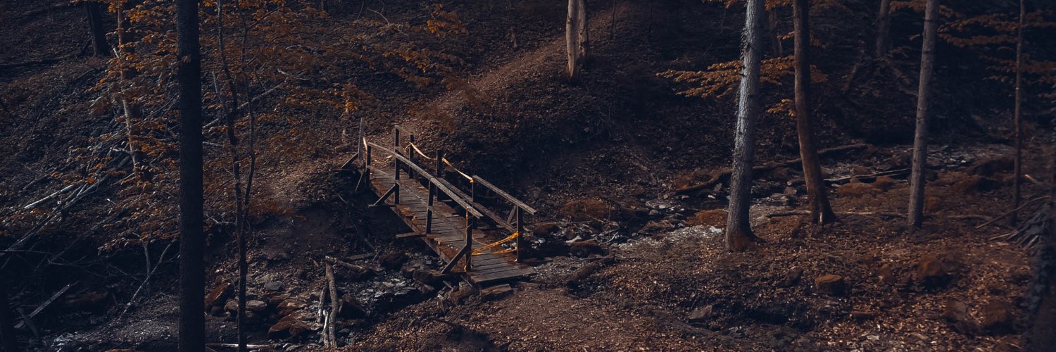 Socy01's profile banner image