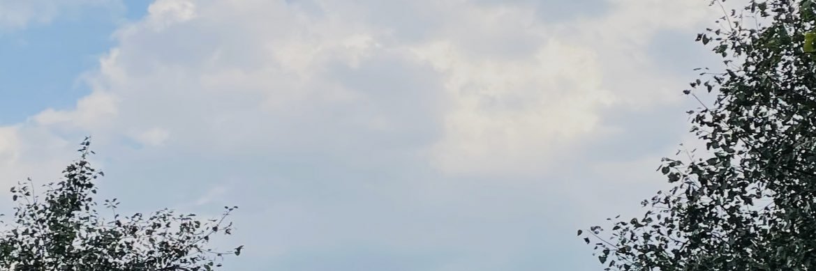 shresthaaaaa's profile banner image