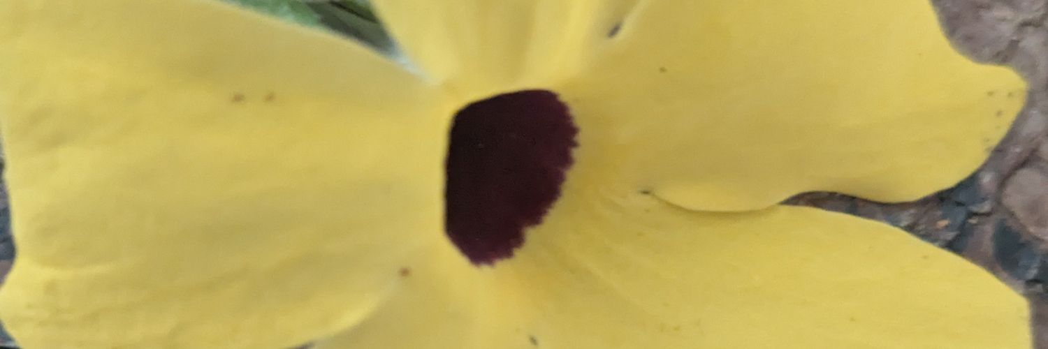 uschi9999's profile banner image