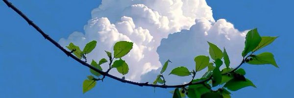 ChrisLoftt Profile Banner