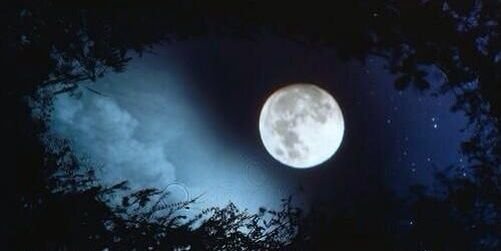 moon8000light's profile banner image