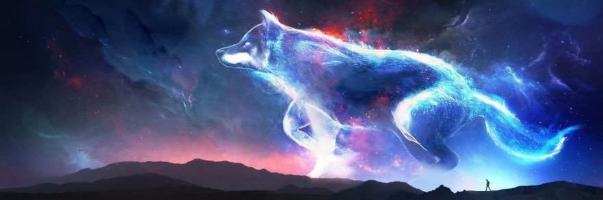 RavenerWolf banner