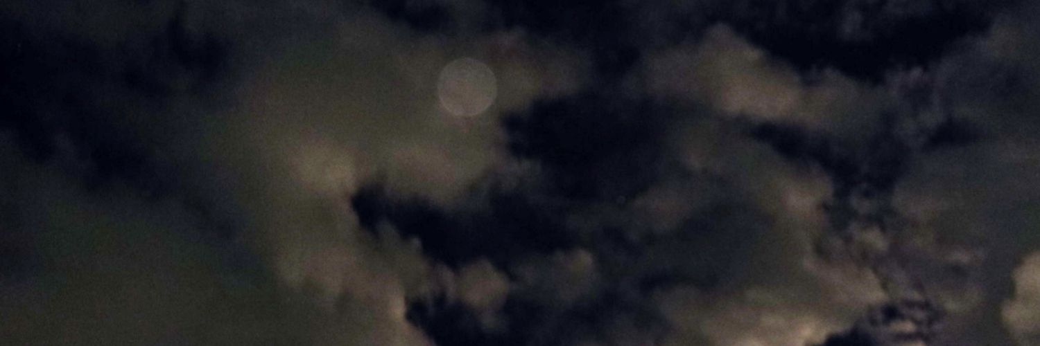 fibssssss's profile banner image