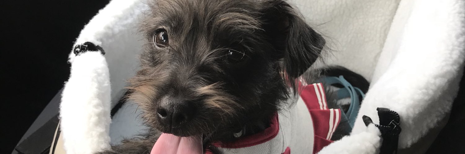 pcoleman76's profile banner image