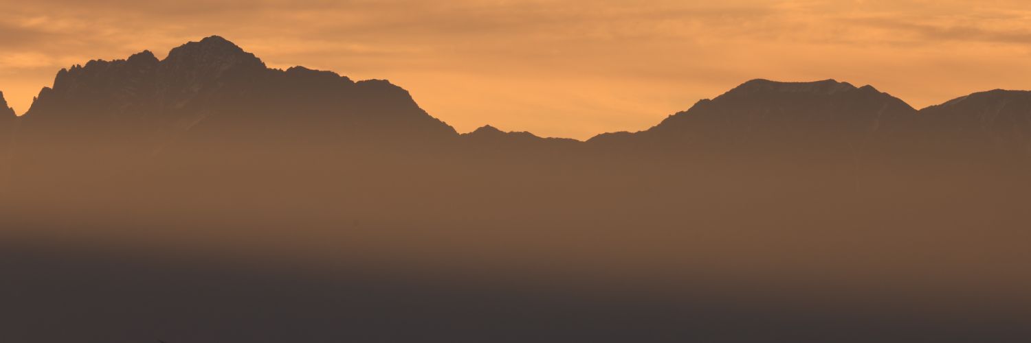 naibuteire's profile banner image