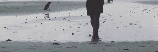 BeckRodriguez's profile banner image