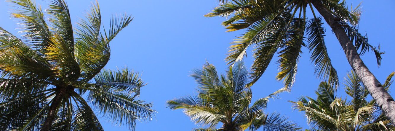 chindytyara's profile banner image