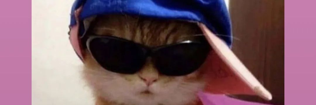 YossCat's profile banner image