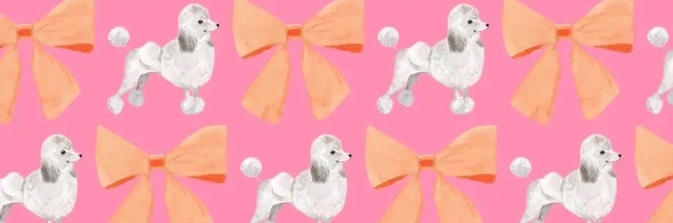 SheanEmily's profile banner image