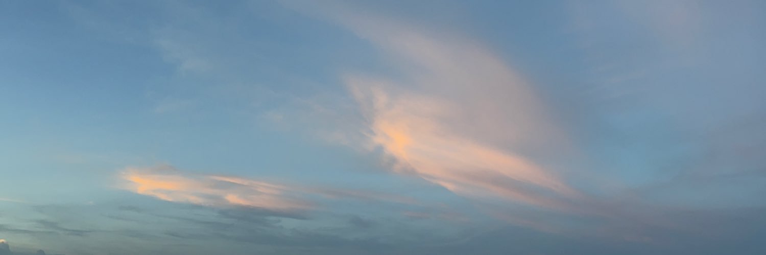 Nutkovespa's profile banner image