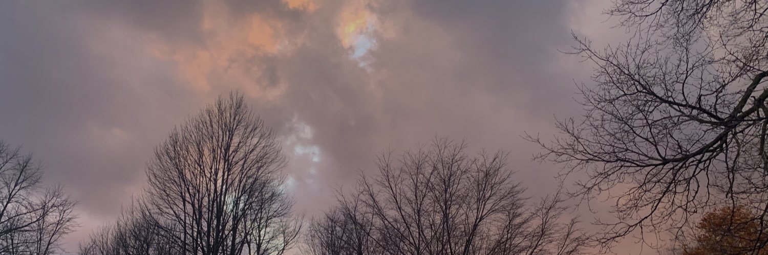 frankiencense's profile banner image