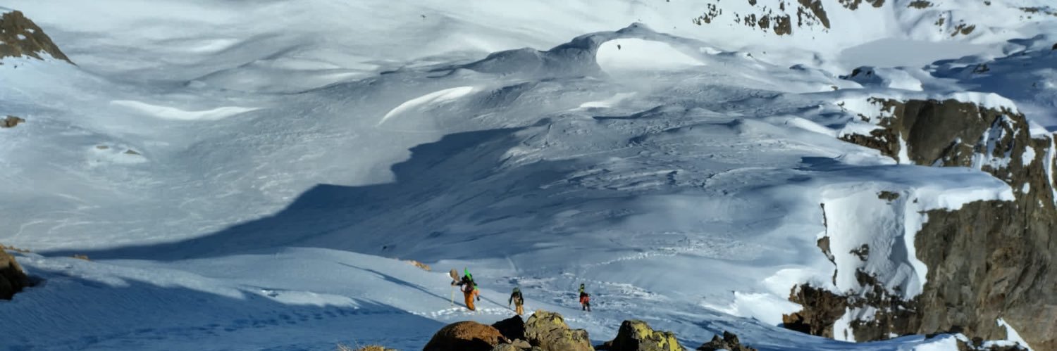 Anne Lee Steele | aleesteele@post.lurk.org banner