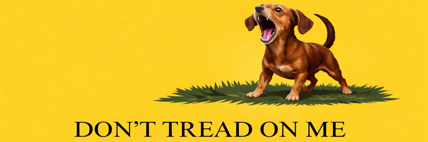 damoons45's profile banner image
