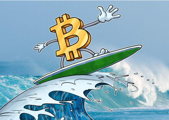 Surfer banner