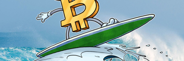 cryptosurfer143 Profile Banner