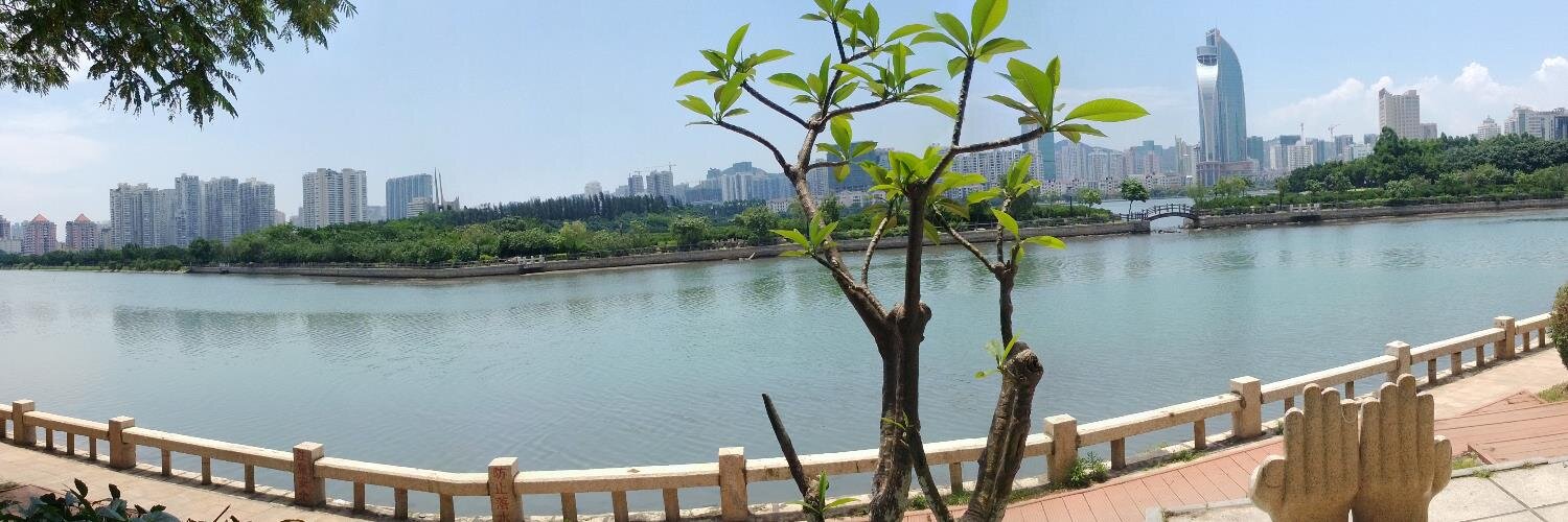 Chensicong2's profile banner image