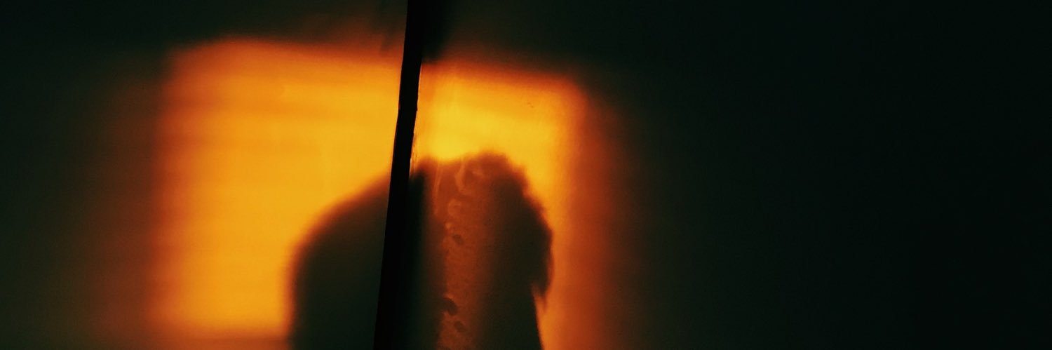 davidweinhauer's profile banner image