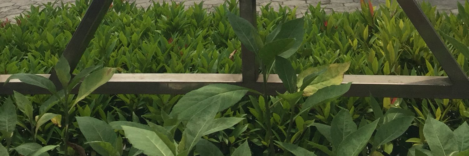 petirberger's profile banner image