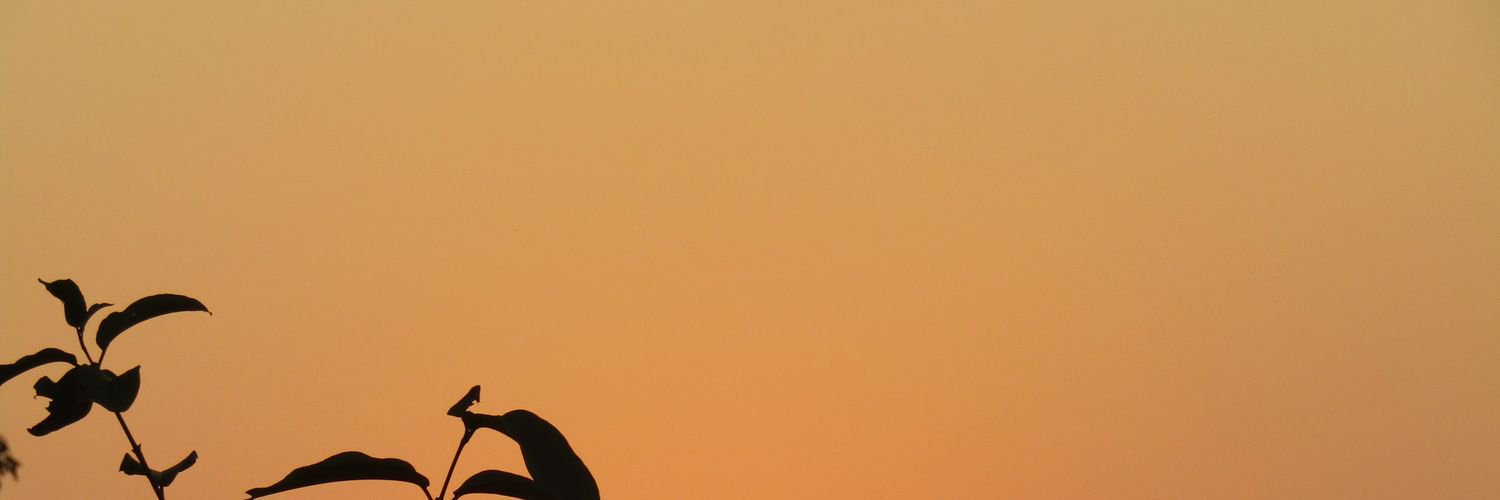Noviihaa's profile banner image