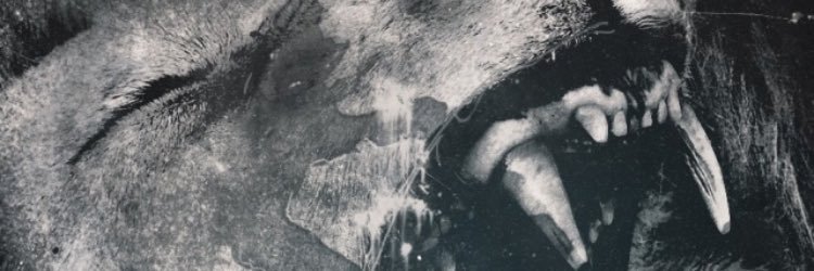 murcia996's profile banner image
