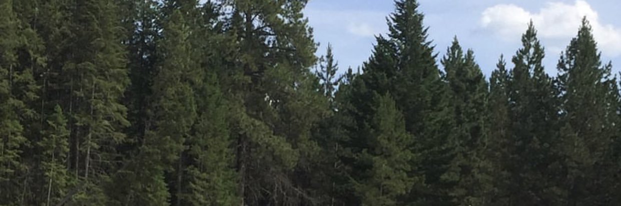 IzzyTrumbo's profile banner image